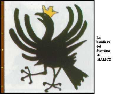 Bandiera distretto di Halicz.